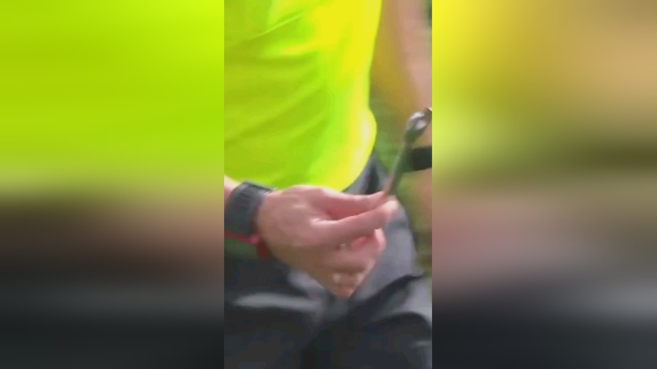 和创造力